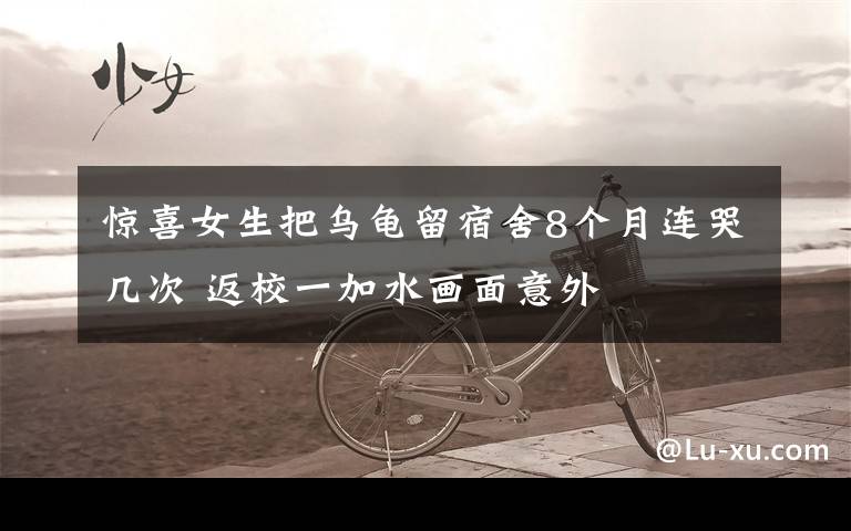 惊喜女生把乌龟留宿舍8个月连哭几次 返校一加水画面意外