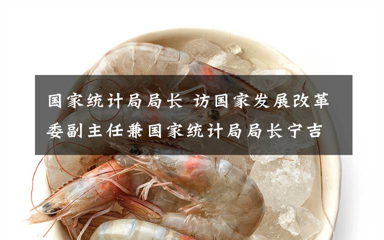 国家统计局局长 访国家发展改革委副主任兼国家统计局局长宁吉喆