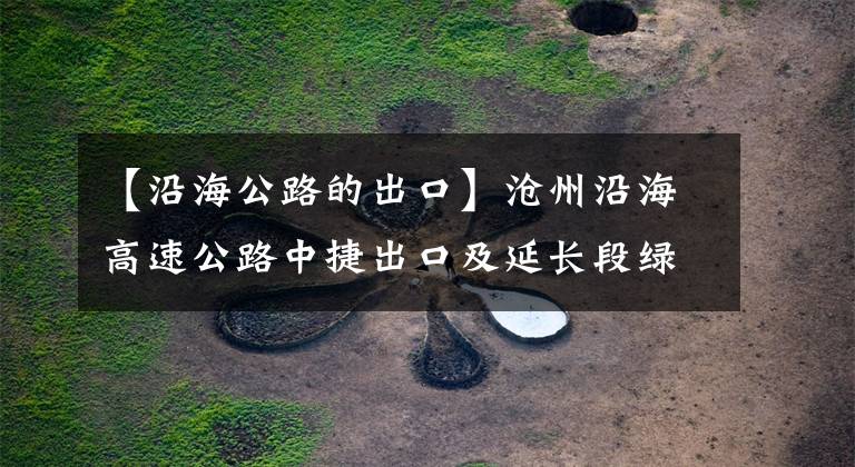【沿海公路的出口】沧州沿海高速公路中捷出口及延长段绿化工程完工