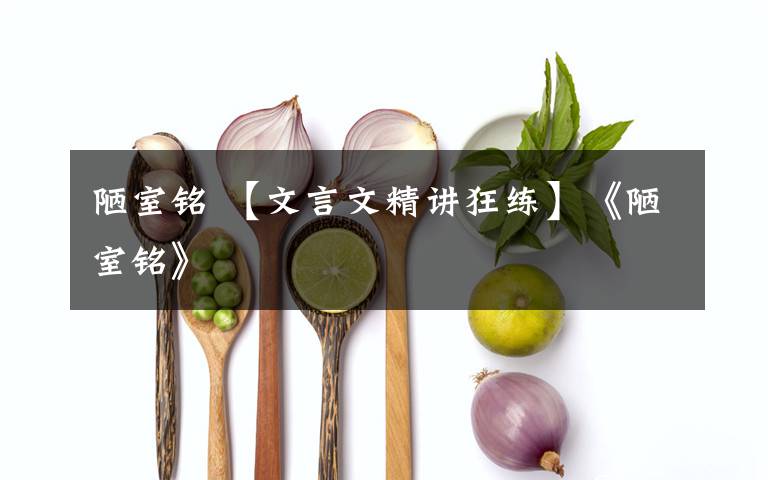 陋室铭 【文言文精讲狂练】《陋室铭》