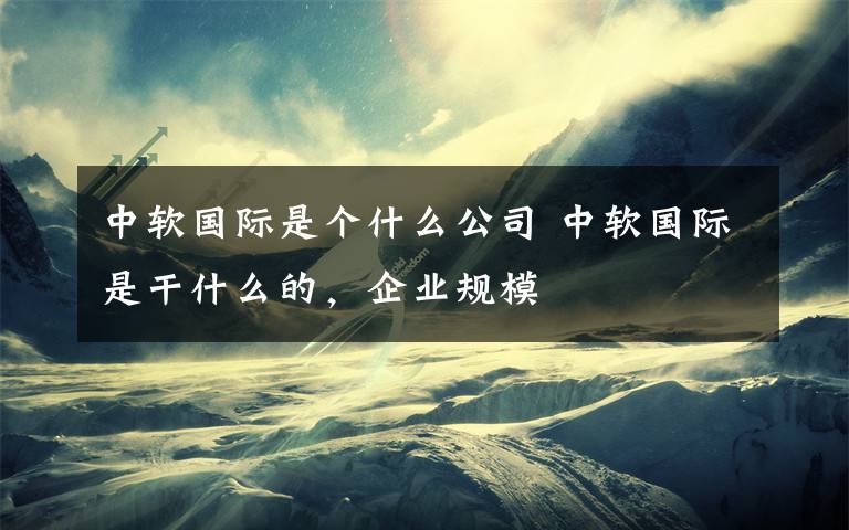 中软国际是个什么公司 中软国际是干什么的,企业规模