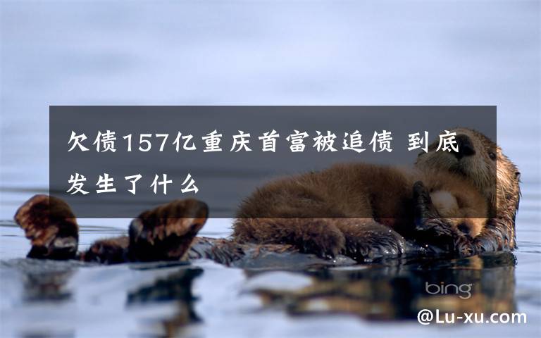 欠债157亿重庆首富被追债 到底发生了什么