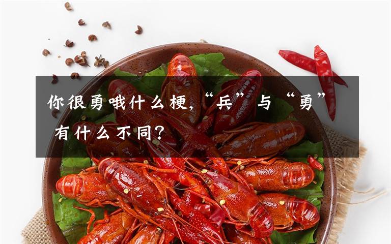 你很勇哦什么梗,“兵”与“勇” 有什么不同?