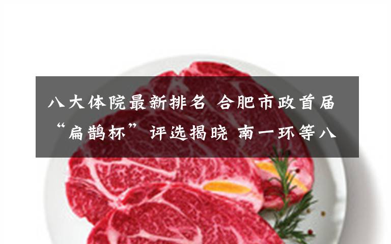八大体院最新排名 合肥市政首届“扁鹊杯”评选揭晓 南一环等八大工程上榜
