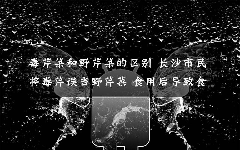 毒芹菜和野芹菜的区别 长沙市民将毒芹误当野芹菜 食用后导致食物中毒