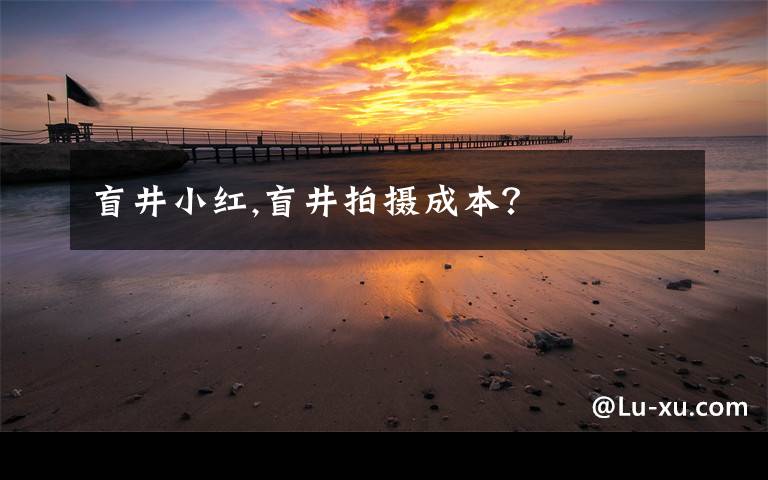 盲井小红,盲井拍摄成本？