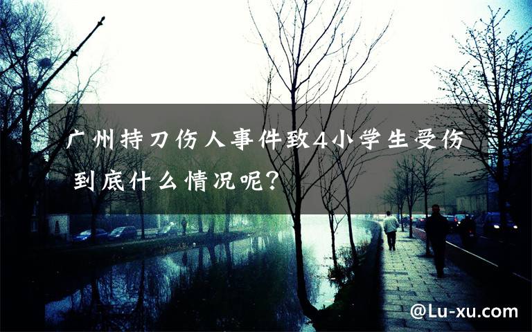 广州持刀伤人事件致4小学生受伤 到底什么情况呢?