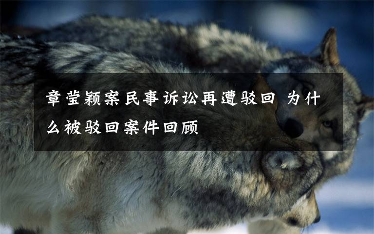 章莹颖案民事诉讼再遭驳回 为什么被驳回案件回顾