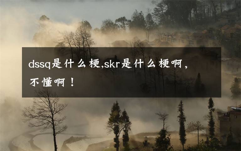 dssq是什么梗,skr是什么梗啊,不懂啊!