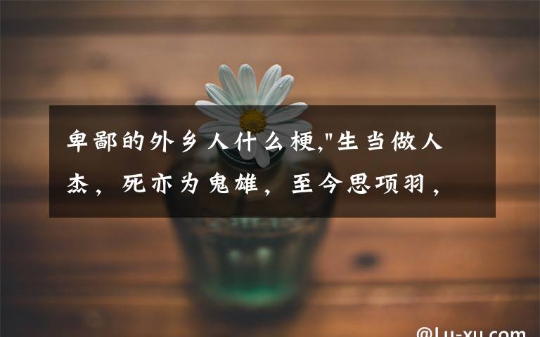 卑鄙的外乡人什么梗,