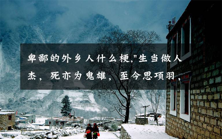 卑鄙的外乡人什么梗,