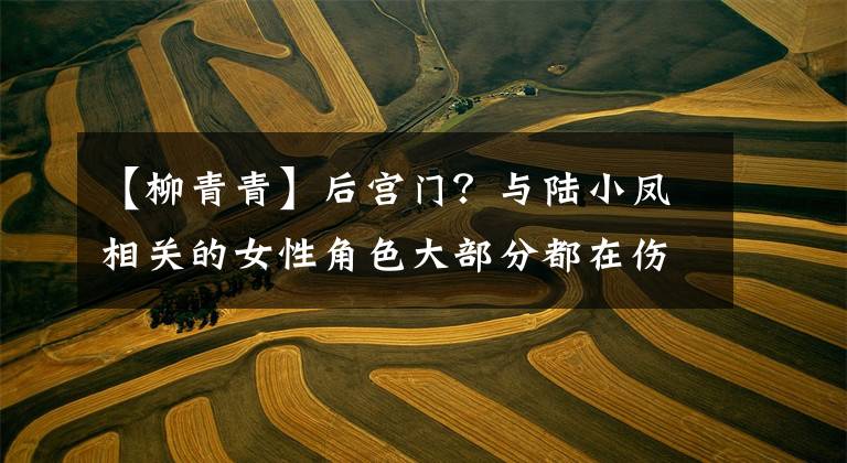 【柳青青】后宫门?与陆小凤相关的女性角色大部分都在伤害他