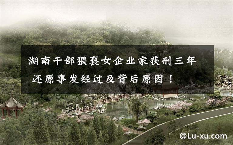 湖南干部猥亵女企业家获刑三年 还原事发经过及背后原因!