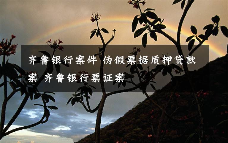 齐鲁银行案件 伪假票据质押贷款案 齐鲁银行票证案