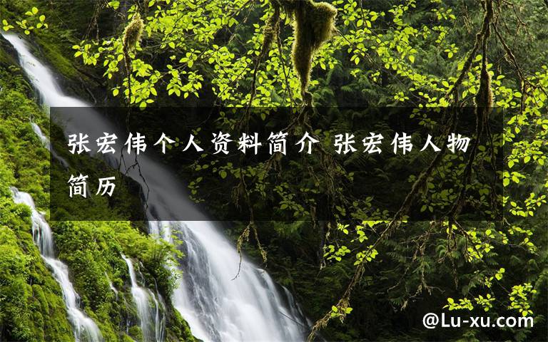 张宏伟个人资料简介 张宏伟人物简历