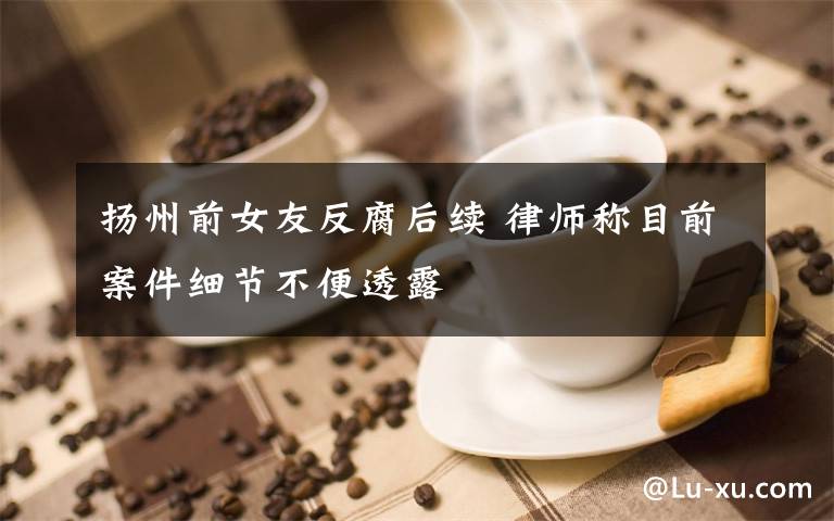扬州前女友反腐后续 律师称目前案件细节不便透露