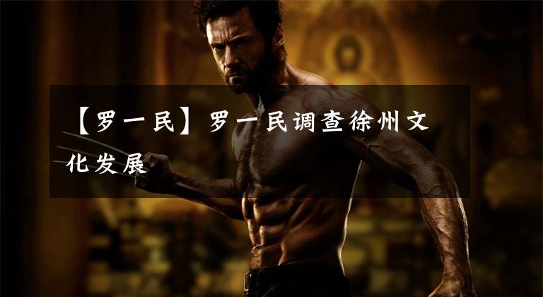 【罗一民】罗一民调查徐州文化发展