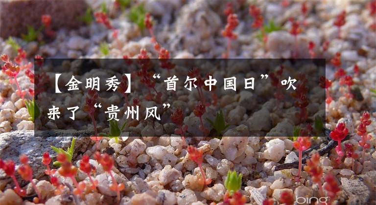 【金明秀】“首尔中国日”吹来了“贵州风”