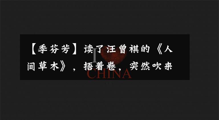 【季芬芳】读了汪曾祺的《人间草木》,捂着卷,突然吹来的风吹来了古老的气息