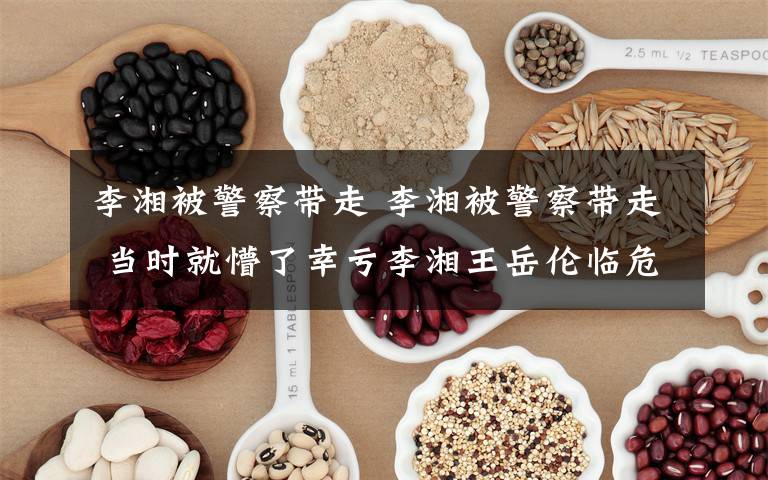 李湘被警察带走 李湘被警察带走 当时就懵了幸亏李湘王岳伦临危不乱