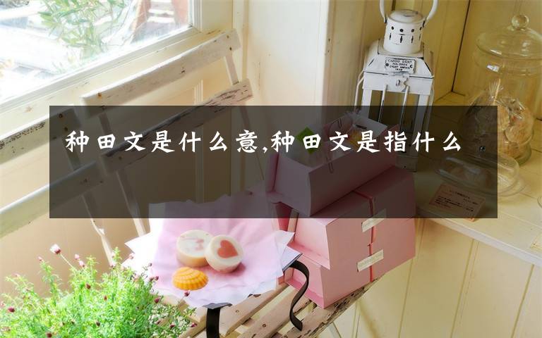 种田文是什么意,种田文是指什么
