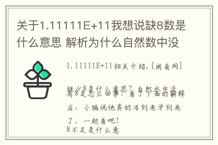 关于1.11111E+11我想说缺8数是什么意思 解析为什么自然数中没有8原因