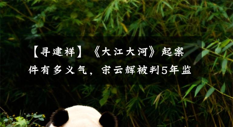 【寻建祥】《大江大河》起案件有多义气，宋云辉被判5年监禁后结局还不错