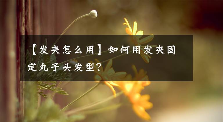 【发夹怎么用】如何用发夹固定丸子头发型？