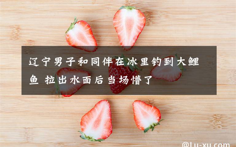 辽宁男子和同伴在冰里钓到大鲤鱼 拉出水面后当场懵了