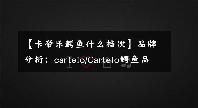 【卡帝乐鳄鱼什么档次】品牌分析:cartelo/Cartelo鳄鱼品牌行李轮行李箱销量为什么那么好?