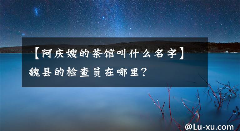 【阿庆嫂的茶馆叫什么名字】魏县的检查员在哪里？