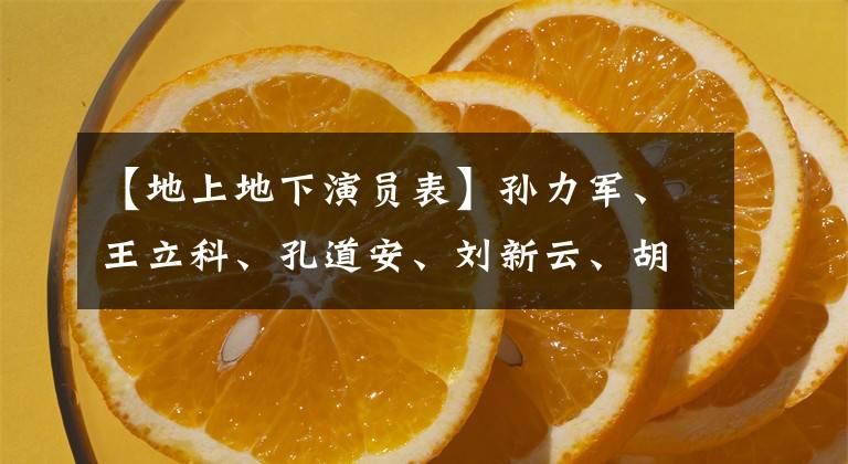 【地上地下演员表】孙力军、王立科、孔道安、刘新云、胡桂芳、王富玉、陈刚、刘天生、周康勇、张飞等14号将推出“大片”