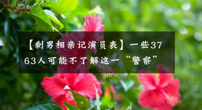 【剩男相亲记演员表】一些3763人可能不了解这一“警察”韩组的背景。韩组、魏森、正野3 3763队的投机有点模糊!本来想法很好