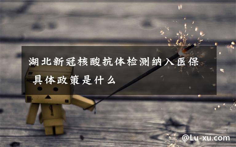 湖北新冠核酸抗体检测纳入医保 具体政策是什么