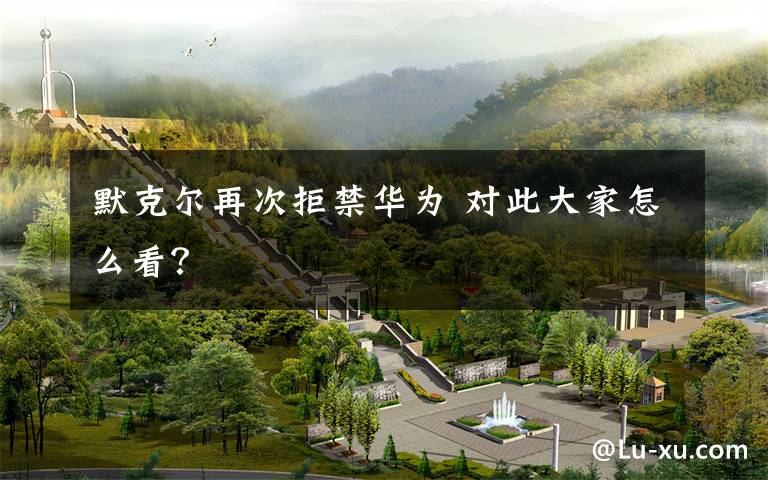 默克尔再次拒禁华为 对此大家怎么看?