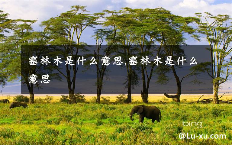 塞林木是什么意思,塞林木是什么意思