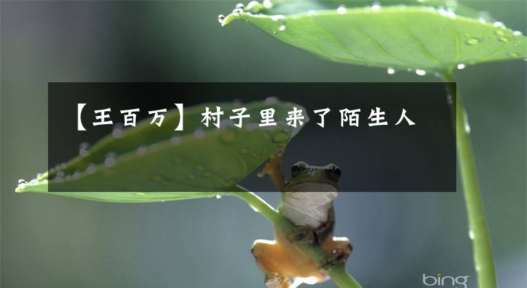 【王百万】村子里来了陌生人