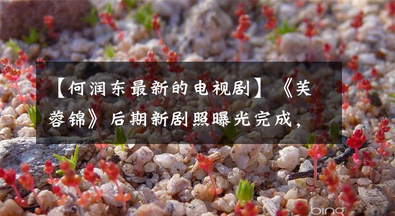 【何润东最新的电视剧】《芙蓉锦》后期新剧照曝光完成,许隆东、袁姗姗领衔主演。