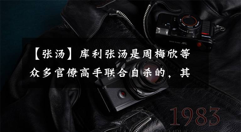 【张汤】库利张汤是周梅欣等众多官僚高手联合自杀的，其母亲成功地为他报仇