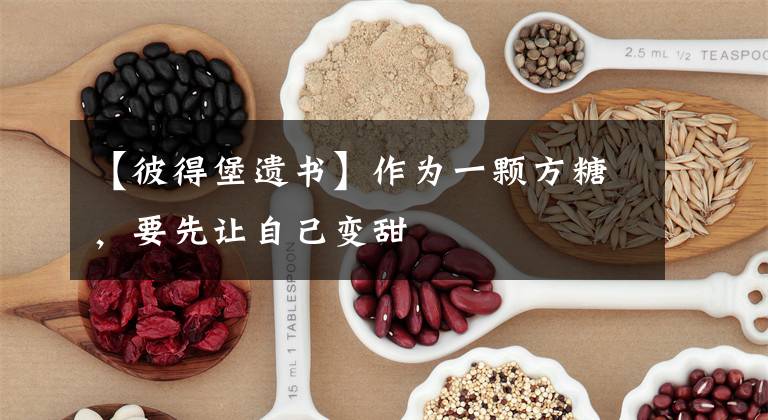 【彼得堡遗书】作为一颗方糖，要先让自己变甜