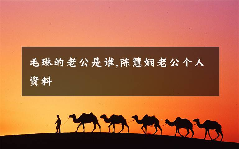 毛琳的老公是谁,陈慧娴老公个人资料