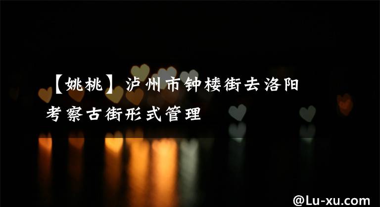 【姚桃】泸州市钟楼街去洛阳考察古街形式管理