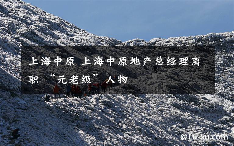 上海中原 上海中原地产总经理离职 “元老级”人物