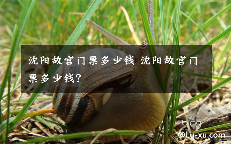 沈阳故宫门票多少钱 沈阳故宫门票多少钱?