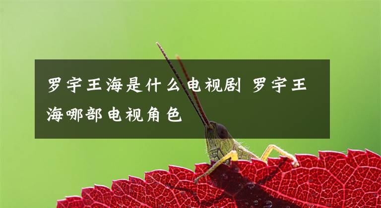 罗宇王海是什么电视剧 罗宇王海哪部电视角色