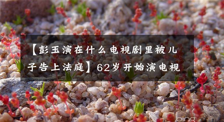 【彭玉演在什么电视剧里被儿子告上法庭】62岁开始演电视剧,67岁和姐夫再婚,86岁的彭玉不寻常