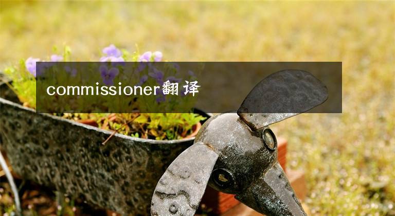 commissioner翻译