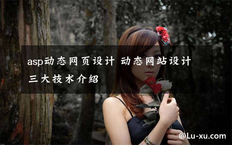 asp动态网页设计 动态网站设计三大技术介绍