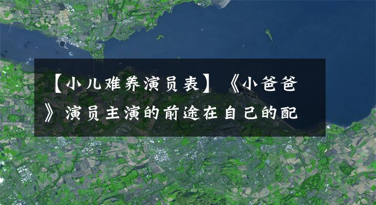 【小儿难养演员表】《小爸爸》演员主演的前途在自己的配角面前众所周知