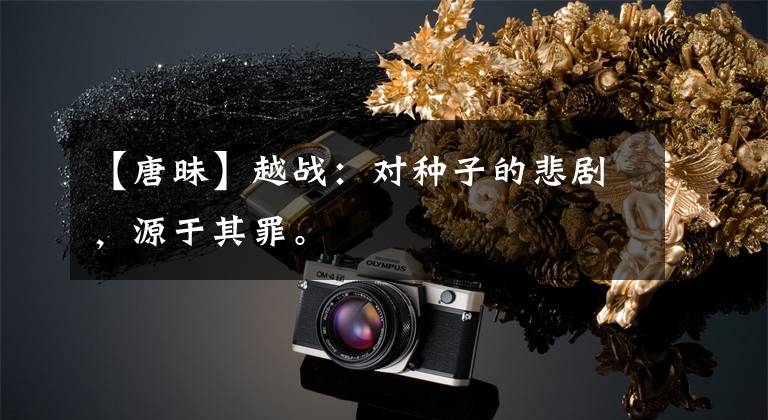 【唐昧】越战:对种子的悲剧,源于其罪。